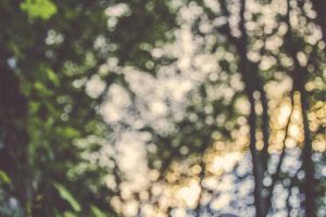 ‘Boost Your 2025 Credit Score: Proven Techniques’