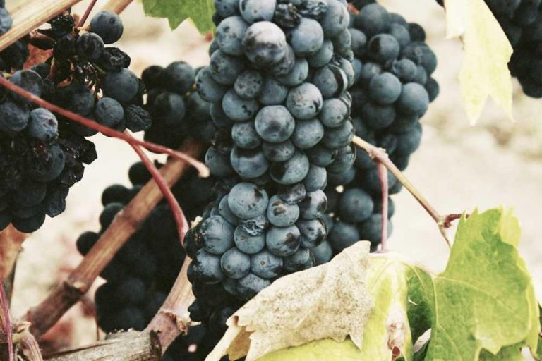 Budgeting for Retirement in the Post-Pandemic Era 2025