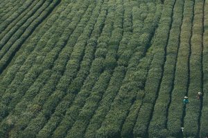 Here is the SEO title for the keyword ‘Cryptocurrency Portfolio Management for Beginners in 2025’ in English (US) (en-US):“Cryptocurrency Portfolio Management for Beginners in 2025”