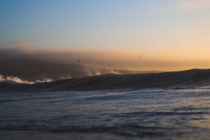 The Future of Remote Work: Exploring the Rise in 2025