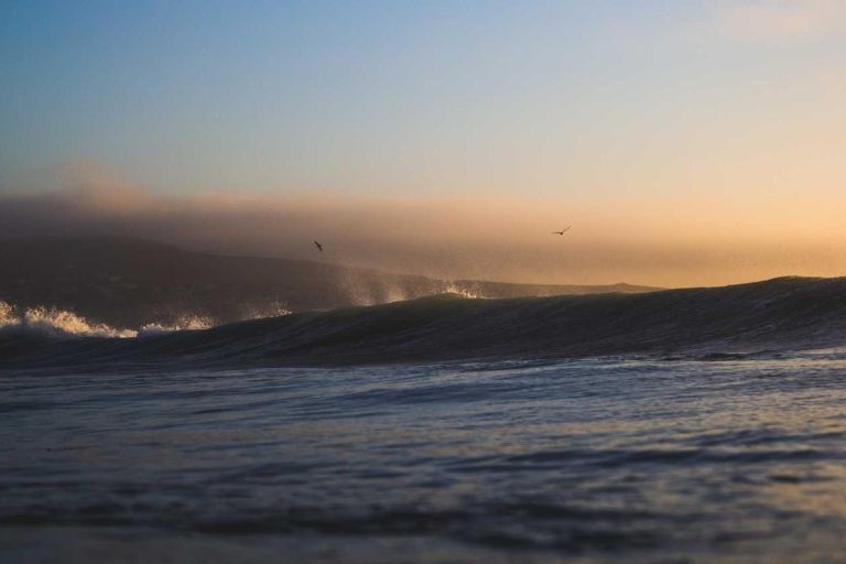 The Future of Remote Work: Exploring the Rise in 2025