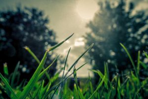 “Insuring Your Autonomous Vehicle in 2025: Navigating the Future”