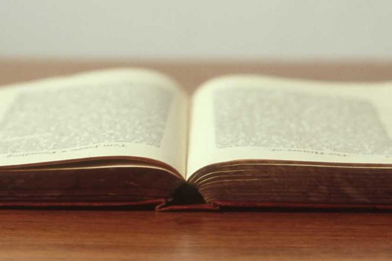 “Invest in Alternative Energy Stocks for the Future in 2025”