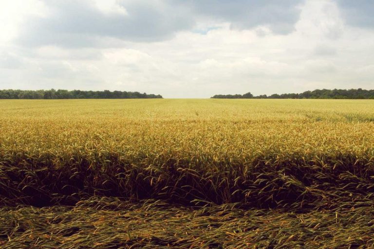 “Maximizing Credit Card Rewards in 2025: Expert Tips”