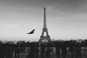 Maximize Loan Forgiveness in the 2025 Job Market