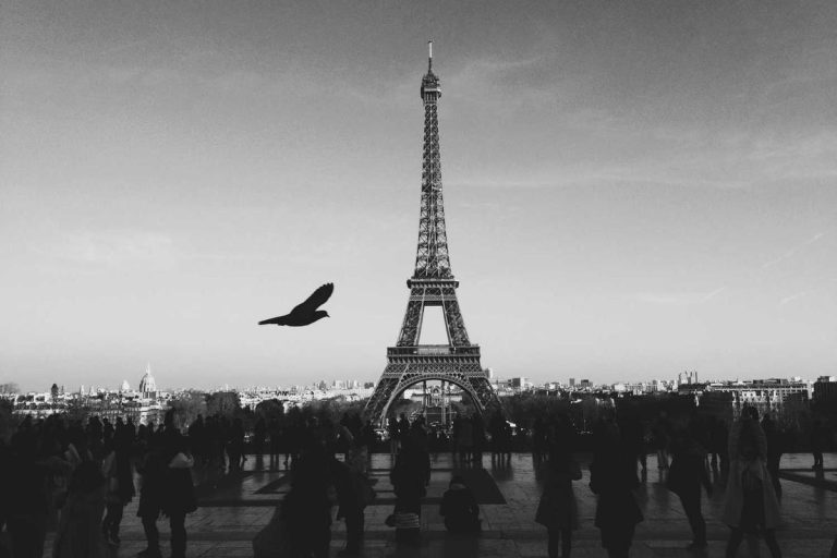 Maximize Loan Forgiveness in the 2025 Job Market