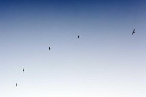 “Maximize Your 2025 Personal Loan Experience”