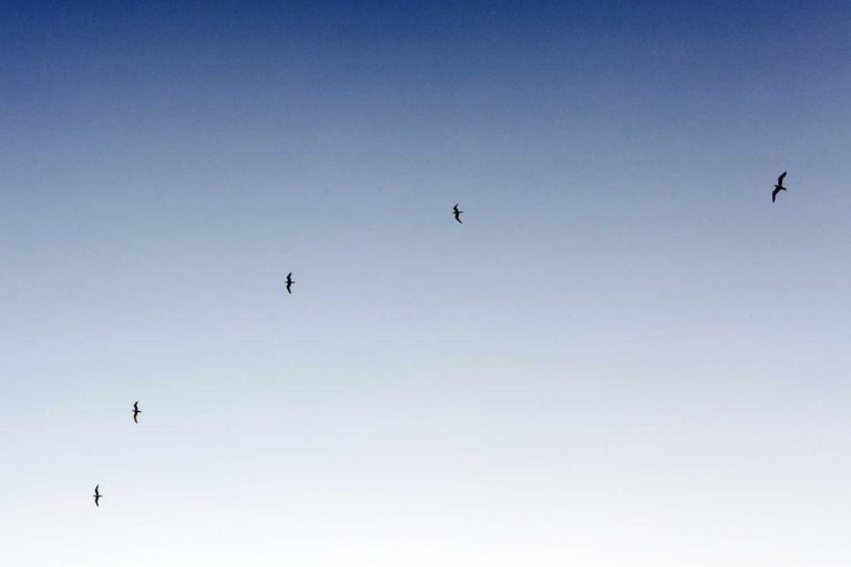 “Maximize Your 2025 Personal Loan Experience”