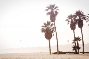 Navigating the 2025 Cyber Insurance Landscape: A Guide