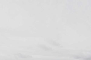 The Top 5 Insurance Trends to Watch in 2025