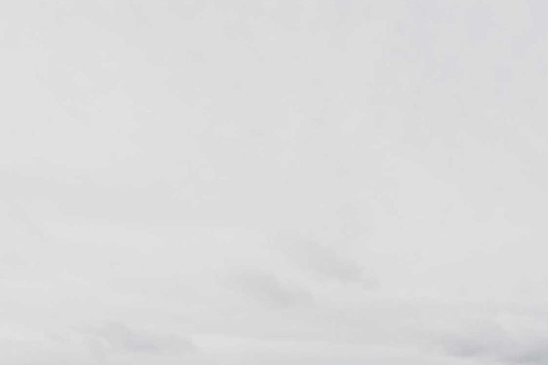 The Top 5 Insurance Trends to Watch in 2025