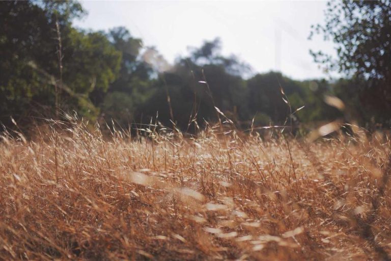 ‘How the Credit Card Industry Will Change in 2026’